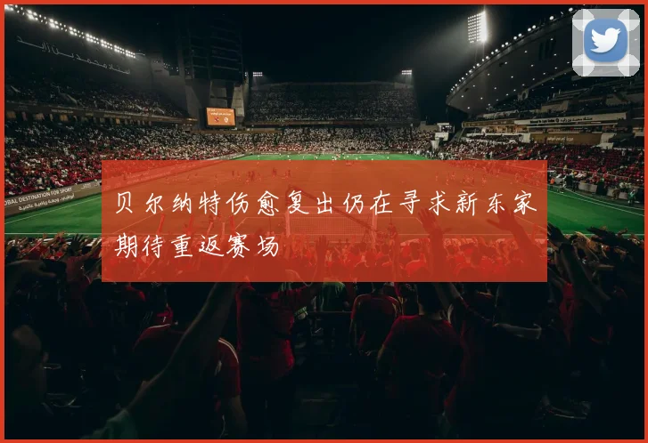贝尔纳特伤愈复出仍在寻求新东家期待重返赛场