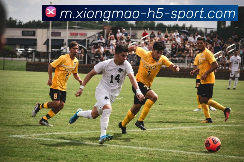 熊猫体育平台生态图