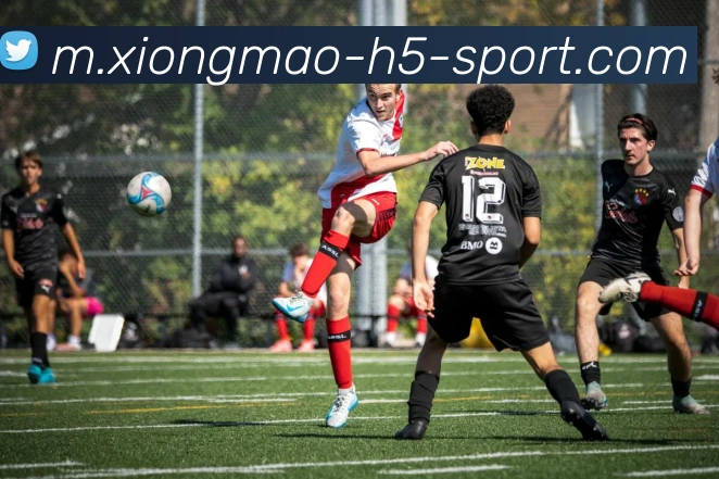 熊猫体育APP 封面图