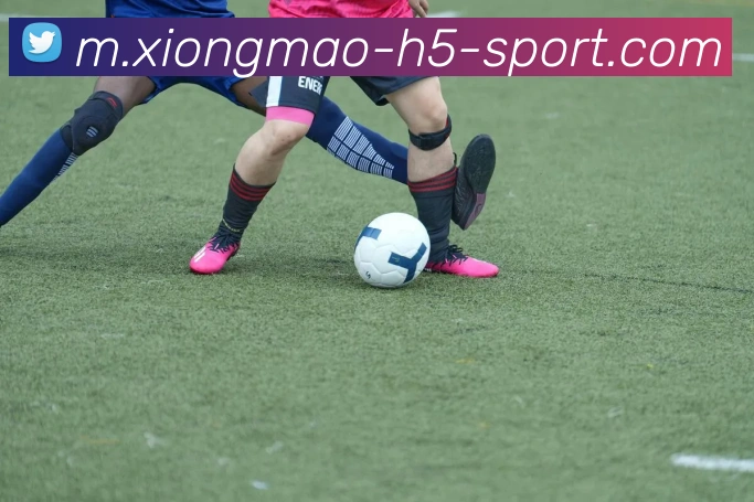 数据防护可视化